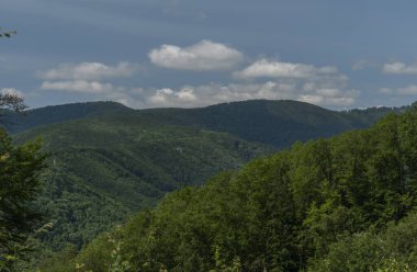 Sıcak yaz gününde Kysak İstasyonu yakınlarında dağları olan yeşil ormanlar.