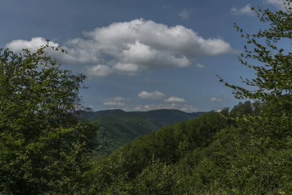 Foglia Foreste Verdi Con Montagne Vicino Alla Stazione Kysak Estate — Foto Stock