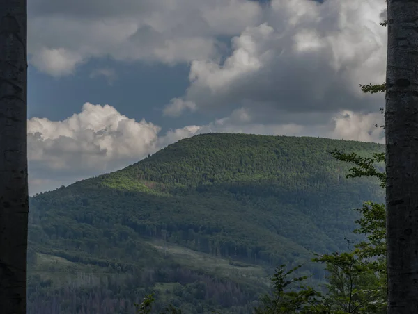 Letní Zelený Pohled Cesty Vrch Javorovy Pro Vrch Velkého Kozince — Stock fotografie