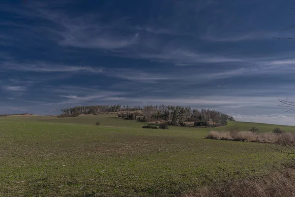 Vista Para Paisagem Com Florestas Cortadas Após Besouro Casca Região — Fotografia de Stock