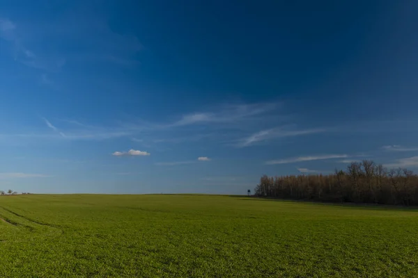 Céu Azul Com Nuvens Brancas Campo Verde Inverno Primavera Dia — Fotografia de Stock