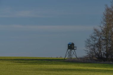 Beyaz bulutlu mavi gökyüzü ve kışın yeşil tarla. Baharda güneşli bir gün ve ağaç standı.