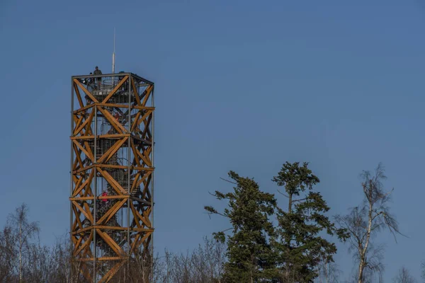 Uitzicht Landschap Met Omgehakte Bossen Blaffende Kever Zuid Moravië Regio — Stockfoto