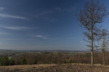 Güney Moravya 'da kışın güneşli bir günde ağaç kabuğu böceği üstüne ağaç kesilen ormanlar manzaraya bakar