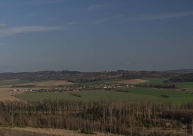 Güney Moravya 'da kışın güneşli bir günde ağaç kabuğu böceği üstüne ağaç kesilen ormanlar manzaraya bakar