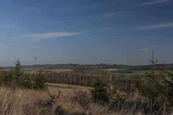 Widok Krajobraz Wyciętymi Lasami Korce Chrząszcza Regionie Południowych Moraw Zimowy — Zdjęcie stockowe