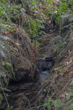 Güney Bohemya 'daki Zlata Koruna köyünün yakınlarındaki Klet Tepesi yamacında küçük bir dere.