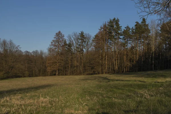 Medows Weilanden Buurt Van Ceske Budejovice Stad Het Zuiden Van — Stockfoto