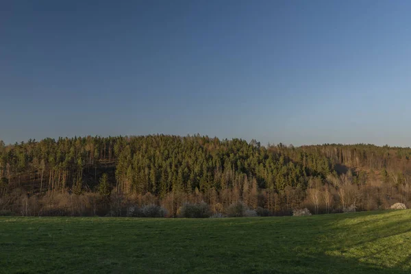 Wdowy Pastwiska Pobliżu Miasta Ceske Budejovice Południowych Czechach Wiosenny Wieczór — Zdjęcie stockowe