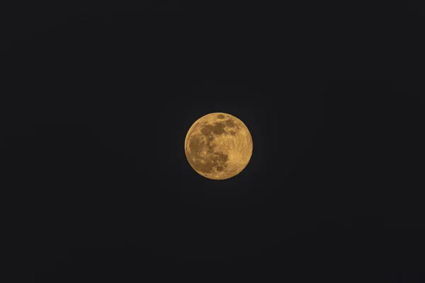 Amarelo Laranja Lua Cheia Noite Primavera Céu Escuro — Fotografia de Stock