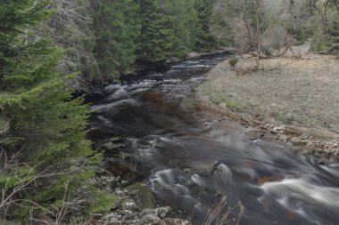 Ulusal Park 'taki Studena Vltava nehri güneşli bahar gününde siyah filtreyle Sumava