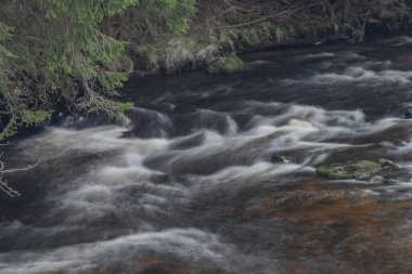 Ulusal Park 'taki Studena Vltava nehri güneşli bahar gününde siyah filtreyle Sumava