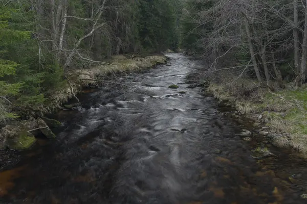 Rio Studena Vltava Parque Nacional Sumava Dia Ensolarado Primavera Lugar — Fotografia de Stock