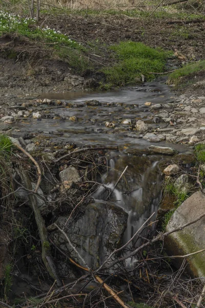 Kopaninsky Creek Krkonose National Park Spring Sunny Day — Stock Photo, Image