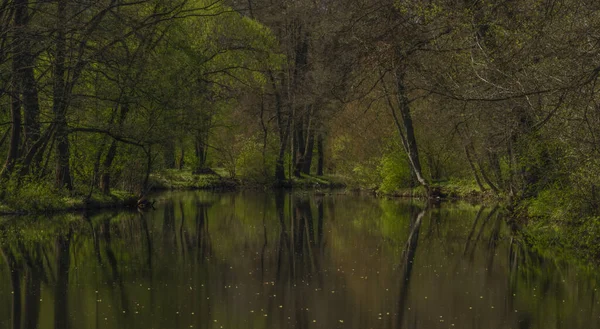 Blanice río con árboles de color verde cerca de vertedero en la ciudad de Bavorov — Foto de Stock