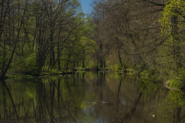 Blanice sungai dengan warna hijau pohon dekat bendungan di kota Bavorov — Stok Foto