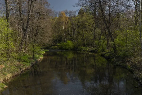 Blanice ποτάμι με πράσινο χρώμα δέντρα κοντά weir στην πόλη Bavorov — Φωτογραφία Αρχείου