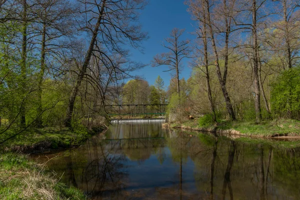 Blanice folyó színes zöld fák közelében weir Bavorov város — Stock Fotó