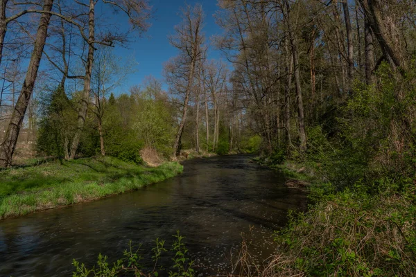 Blanice folyó színes zöld fák közelében weir Bavorov város — Stock Fotó