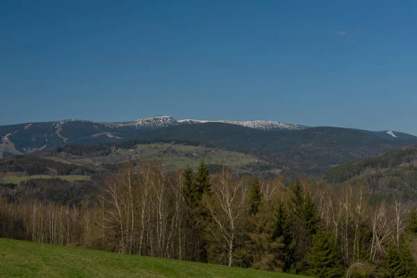 Rétek Erdők Közelében Krkonose Hegyek Tavasszal Szép Nap Észak Csehországban — Stock Fotó