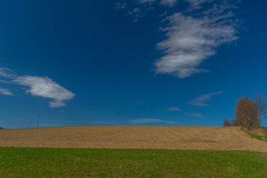 Turuncu tarlalar yeşil çayırlar ve Krkonose Ulusal Parkı yakınlarında mavi cennet