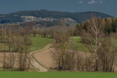 Krkonose dağlarının yakınındaki çayırlar Kuzey Bohemya 'da güzel bir gün.