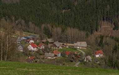 Krkonose dağlarının yakınındaki çayırlar Kuzey Bohemya 'da güzel bir gün.