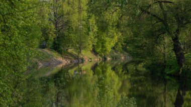 Güney Bohemya 'nın Budweis şehrinde bahar sabahı Malse Nehri