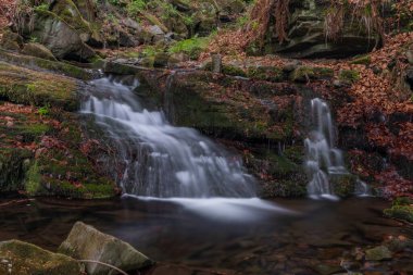 # Trojanovice köyündeki Lomna Nehri # # Soğuk bahar sabahı #