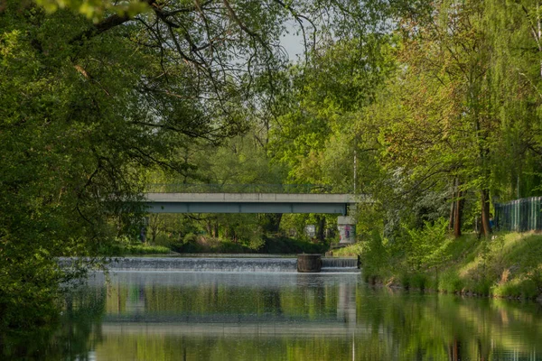 Malse River Spring Morning Budweis City South Bohemia — Stock Photo, Image