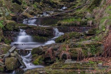 # Trojanovice köyündeki Lomna Nehri # # Soğuk bahar sabahı #