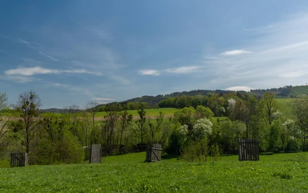 Vista Prati Pascoli Vicino Villaggio Vigantice Montagna Beskydy — Foto Stock