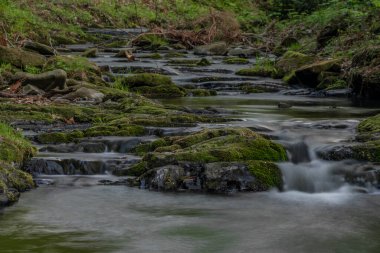 Trojanovice köyündeki Lomna Nehri Bahar sıcak renk gününde