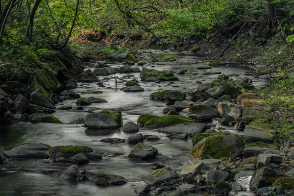 Trojanovice Köyündeki Lomna Nehri Bahar Sıcak Renk Gününde — Stok fotoğraf