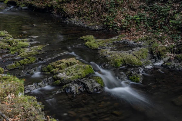 Lomna River Trojanovice Village Spring Hot Color Day — Stock Photo, Image