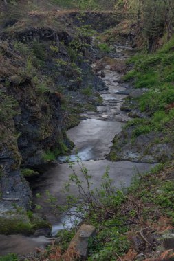 Trojanovice köyündeki Lomna Nehri Bahar sıcak renk gününde