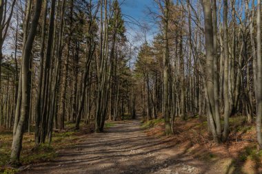 Bahar renkleri kuru orman ve Beskydy 'deki Radhost tepesinin altında güzel dağlar.