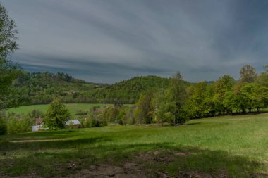 Beskydy taze dağlarında Dolni Becva köyü yakınlarındaki yeşil bahar çayırları