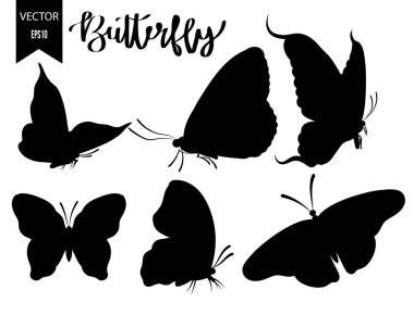 Beyaz arka plan üzerinde izole siluetleri kelebekler.