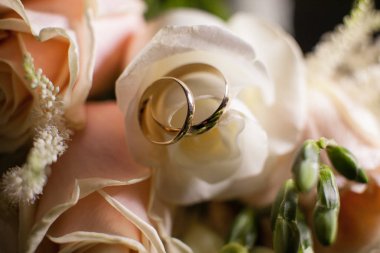 blossom ve alyans arka plan