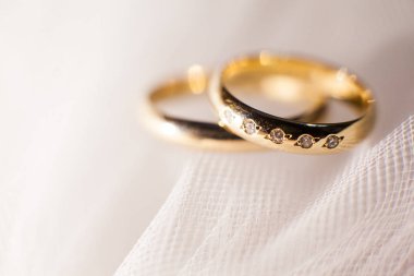 Hafif arka planda alyanslar