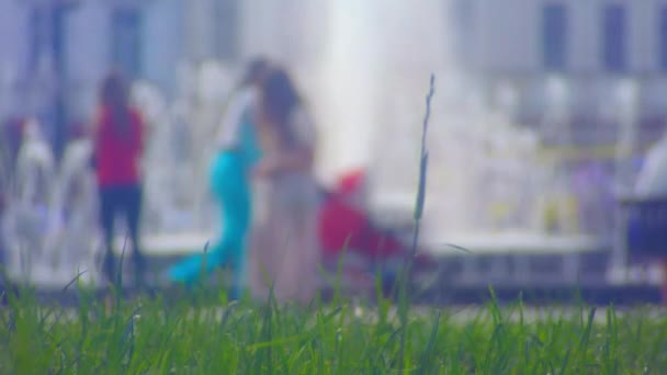 Pohled z trávníku přímo na fontáně — Stock video