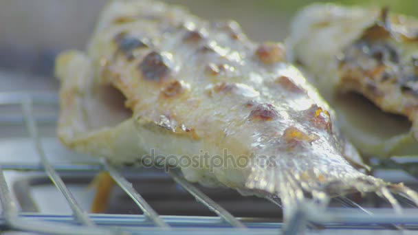 Dorado ψάρια είναι τηγανισμένα σε μια γκριλιέρα στην αυλή — Αρχείο Βίντεο