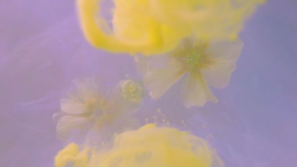 Floating light yellow flowers slowly enveloped in yellow color ink — Stock Video