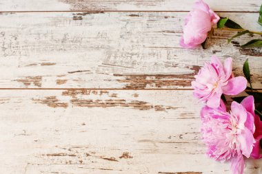 Beyaz ışık rustik ahşap zemin üzerinde pembe peonies çarpıcı. Alan, çerçeve çiçek kopyalayın. Vintage, pus arıyorum. Düğün, hediye kartı, Sevgililer günü veya anneler günü arka plan