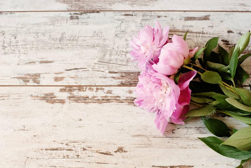 Stunning pink peonies on white light rustic wooden background. Copy space, floral frame. Vintage, haze looking.  Wedding, gift card, valentine's day or mothers day background