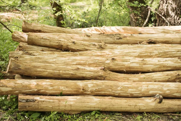 Montón de troncos en el bosque. Una pila de madera. De cerca. —  Fotos de Stock