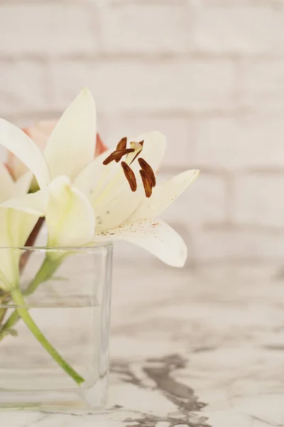 Flor Lirio Blanco Jarrón Vidrio — Foto de Stock