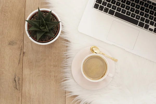 Kadınsı işyeri kavramı. Serbest çalışma alanı ile laptop, sulu. Blogger çalışma.