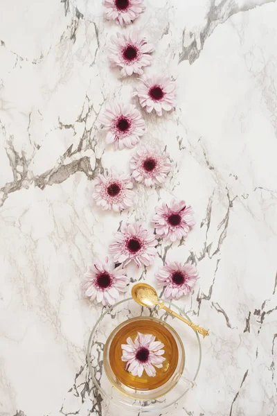 Uma Xícara Chá Ervas Flores — Fotografia de Stock
